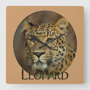 Leopard Lovers Art Square Wall Clock
