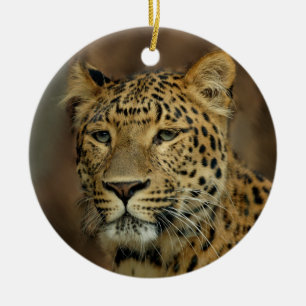 Leopard Lovers Christmas Tree Ornament