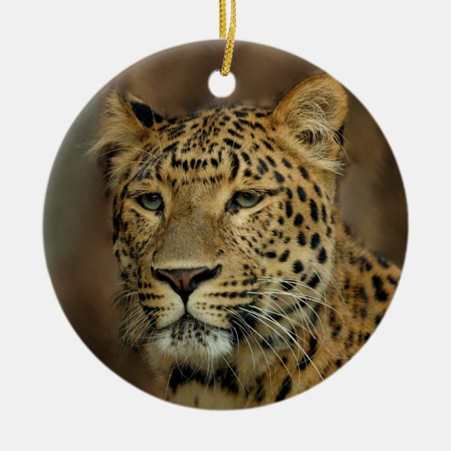 Leopard Lovers Christmas Tree Ornament (Front)
