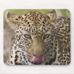 Leopard Mouse Mat