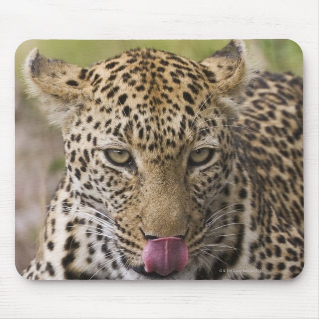 Leopard Mouse Mat (Front)