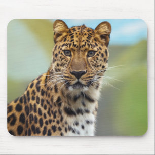Leopard Mouse Mat