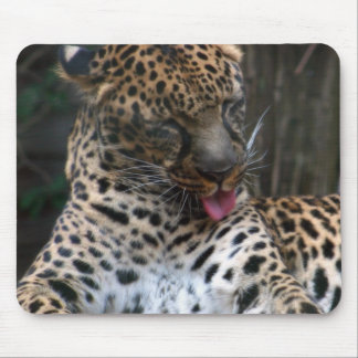 Leopard Mouse Mat