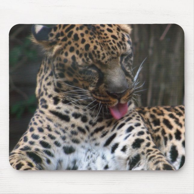 Leopard Mouse Mat (Front)