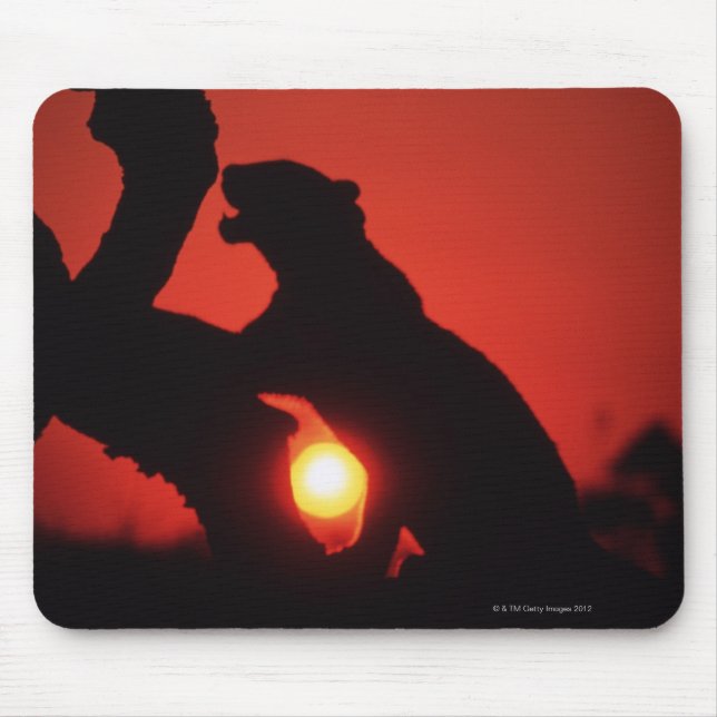 leopard mouse mat (Front)