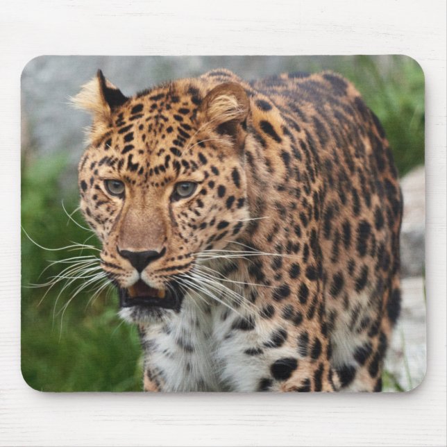 Leopard Mouse Pad (Front)