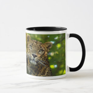 Leopard Mug