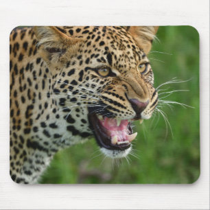 leopard, nature, wildlife mouse mat