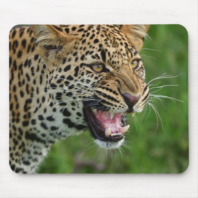 leopard, nature, wildlife mouse mat (Front)