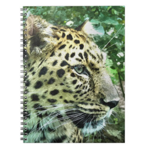 LEOPARD NOTEBOOK
