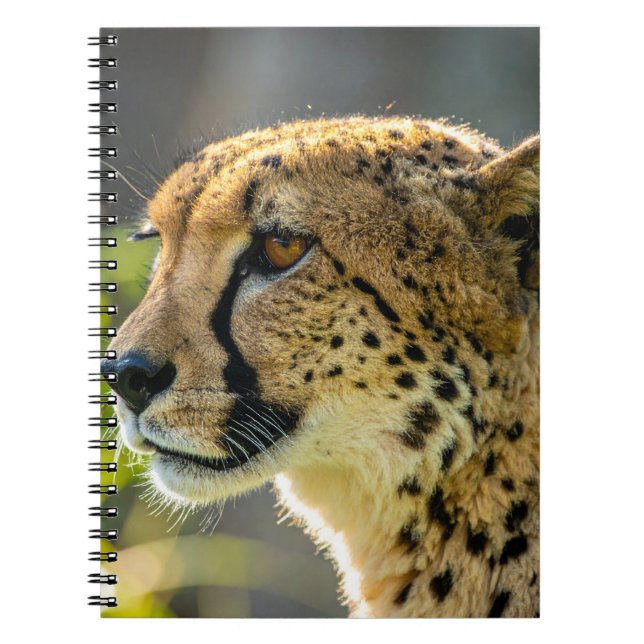 leopard notebook (Front)