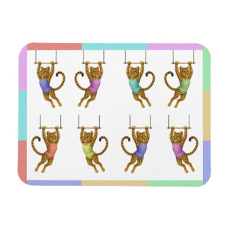 Leopard on a trapeze magnet