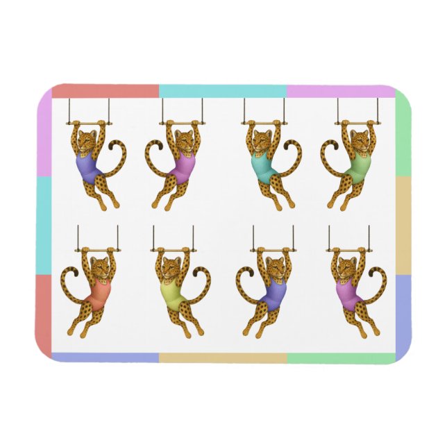 Leopard on a trapeze magnet (Horizontal)