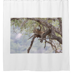 Leopard on a tree shower curtain
