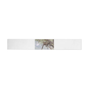 Leopard on a tree wrap around label