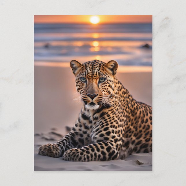 Leopard on the beach holiday postcard (Front)
