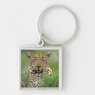 Leopard, Panthera pardus, Sabi Sabi Game Key Ring