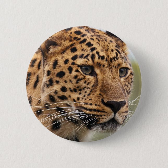 Leopard Photo 6 Cm Round Badge (Front)