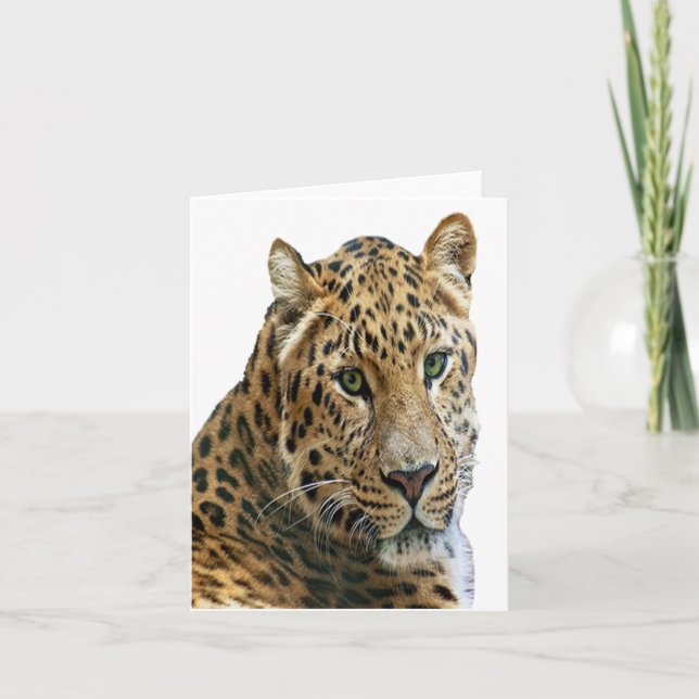 Leopard Photo Folded Note Card (Front)