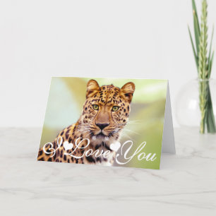 Leopard Photograph Image I Love You Card