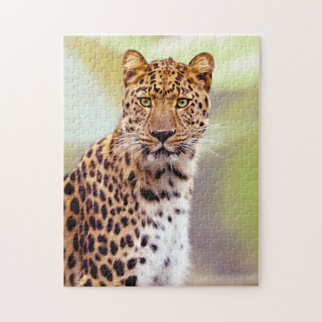 Leopard Photograph Image Jigsaw Puzzle (Vertical)