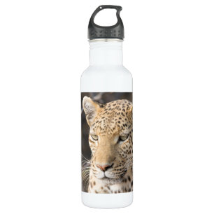 Leopard portrait 710 ml water bottle