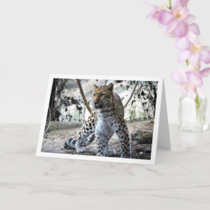 Leopard Portrait Card