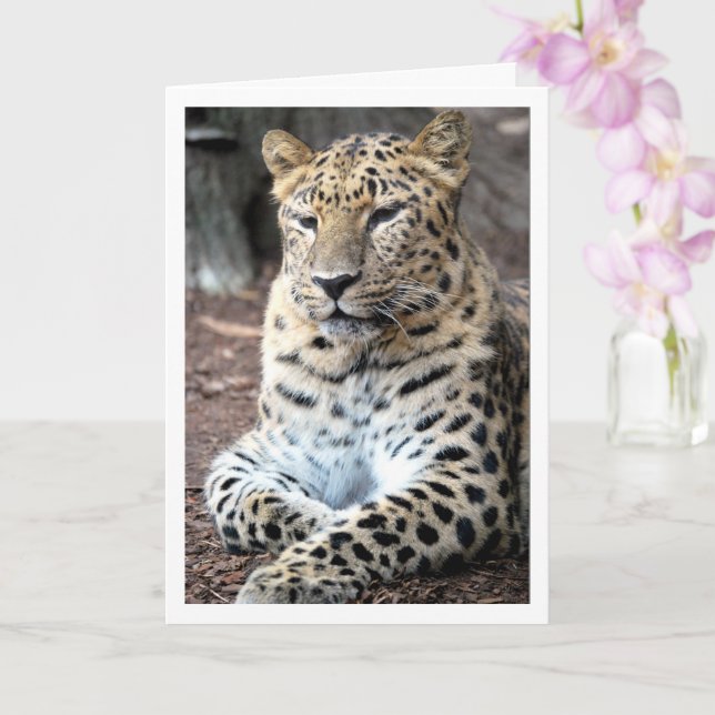 Leopard Portrait Card (Orchid)