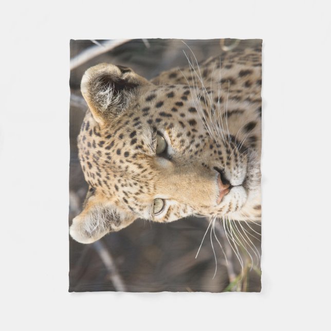 Leopard portrait fleece blanket (Front)