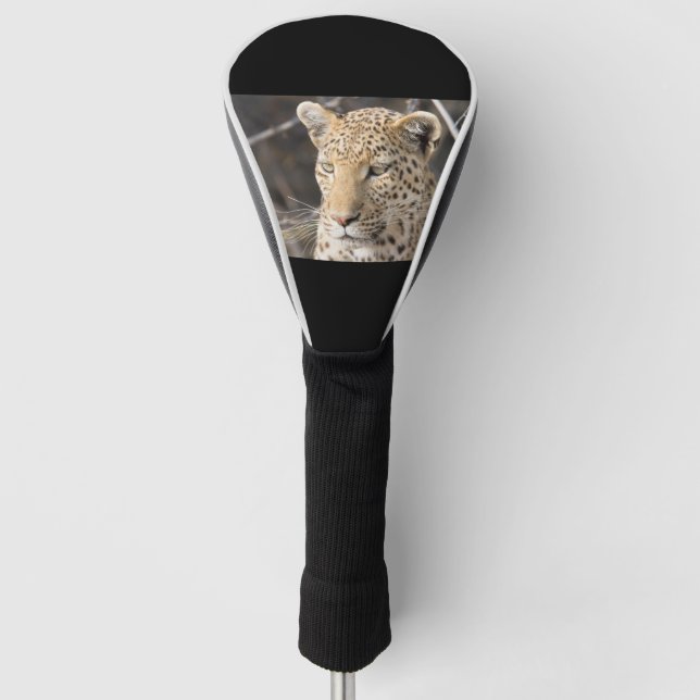 Leopard portrait golf head cover (Front)