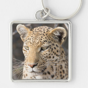 Leopard portrait key ring