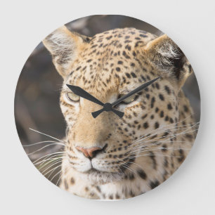 Leopard portrait large clock