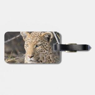 Leopard portrait luggage tag