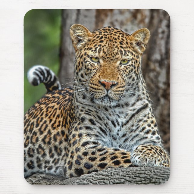 Leopard Portrait Mousepad (Front)