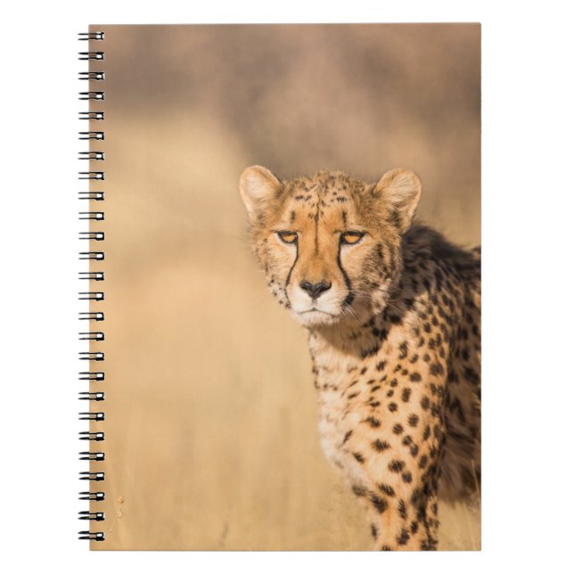 LEOPARD PORTRAIT NOTEBOOK (Front)
