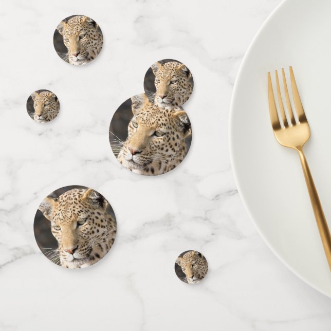 Leopard portrait photo confetti (Group)