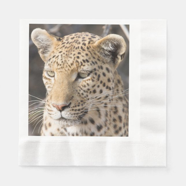 Leopard portrait photo napkin (Front)