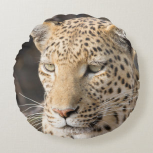 Leopard portrait round cushion