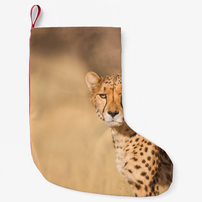 LEOPARD PORTRAIT SMALL CHRISTMAS STOCKING (Front)