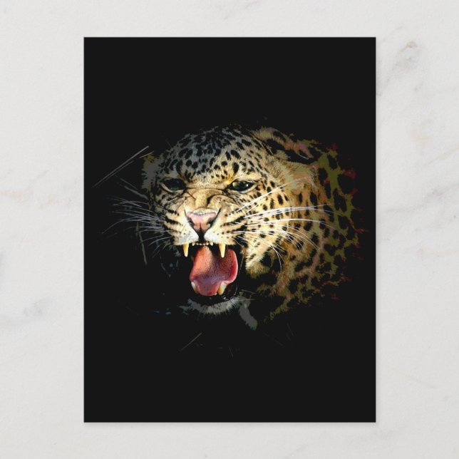 Leopard Postcard (Front)