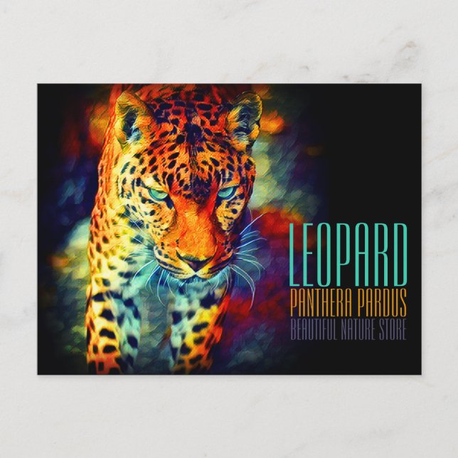 Leopard [Postcard] Postcard (Front)