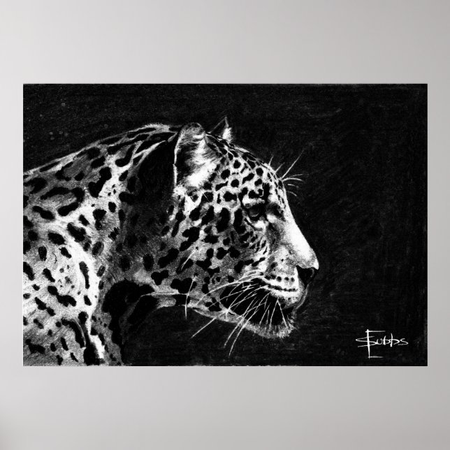 Leopard Poster (Front)
