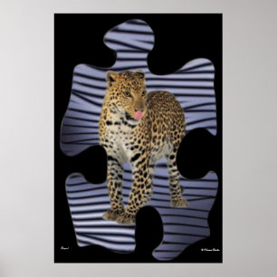 Leopard Poster