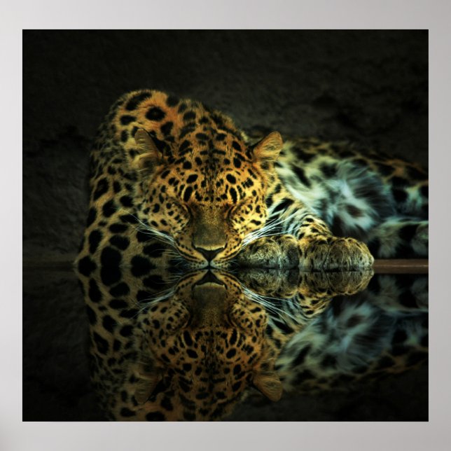 Leopard Poster (Front)