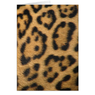 Leopard Print