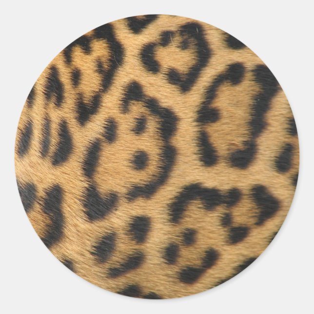 Leopard Print Classic Round Sticker (Front)
