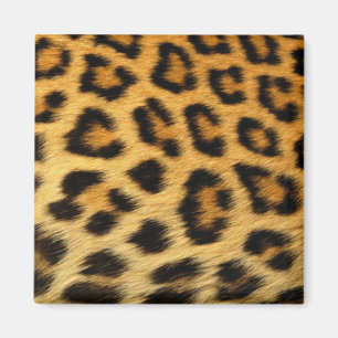 Leopard Print Magnet