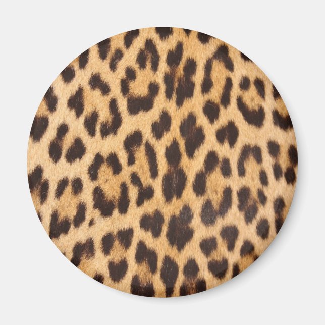 Leopard Print Magnet (Front)