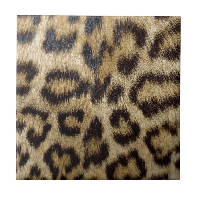 Leopard Print Tile (Front)