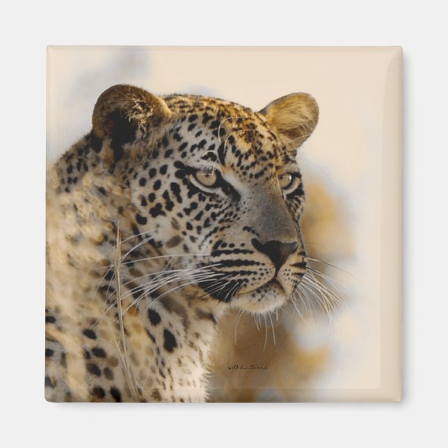 Leopard safari magnets (Front)